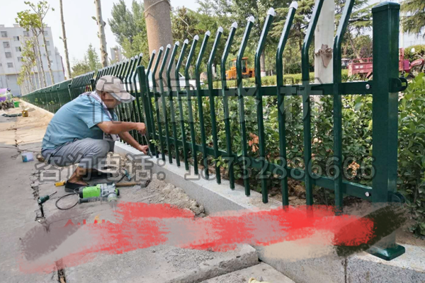 山東棗莊市(shì)城市綠化(huà)改造工程 山東棗莊市城(chéng)市(shì)綠化改造工程